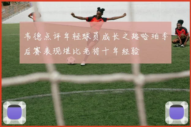韦德点评年轻球员成长之路哈珀季后赛表现堪比老将十年经验