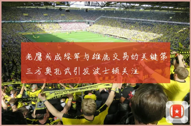 老鹰或成绿军与雄鹿交易的关键第三方奥孔武引发波士顿关注